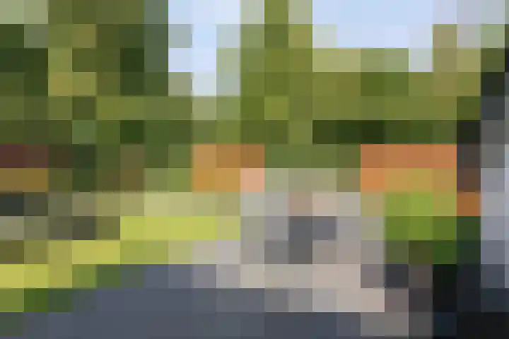 Koninginnelaan 2 Doetinchem thumbnail 77