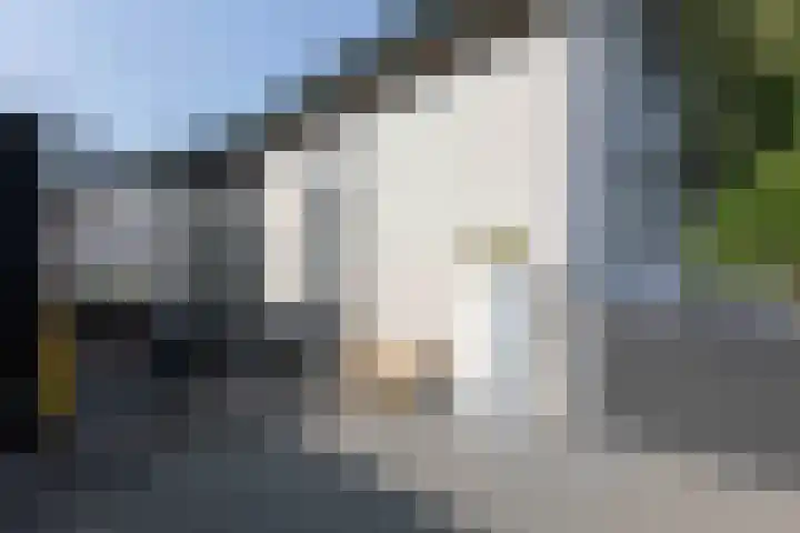 Koninginnelaan 2 Doetinchem thumbnail 81
