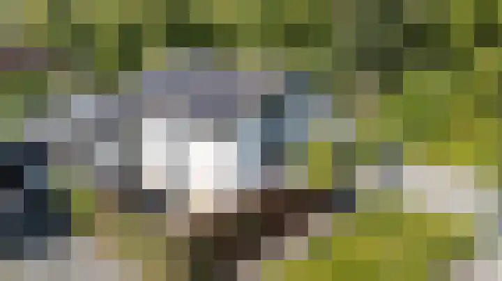Koninginnelaan 2 Doetinchem thumbnail 83