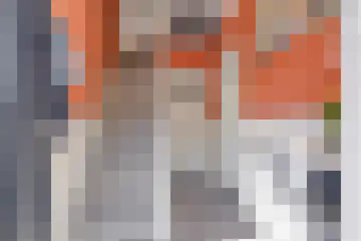 Koninginnelaan 2 Middelburg thumbnail 13