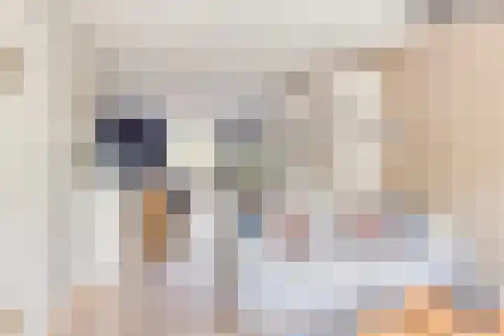 Koninginnelaan 2 Middelburg thumbnail 16