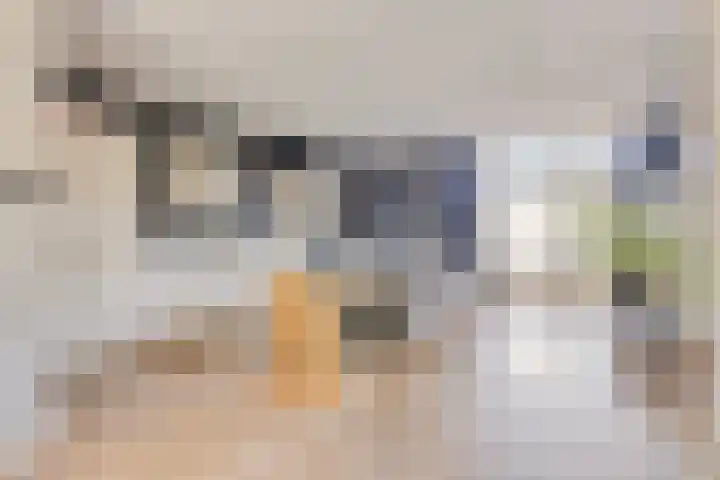 Koninginnelaan 2 Middelburg thumbnail 18