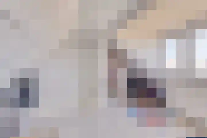 Koninginnelaan 2 Middelburg thumbnail 36