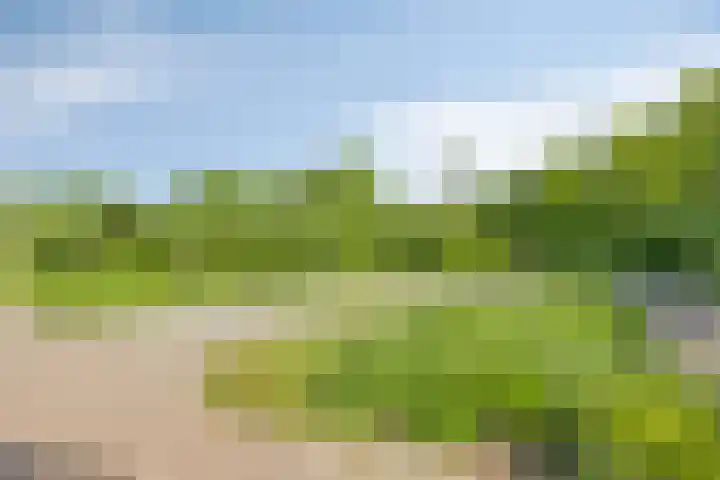 Koninginnelaan 2 Middelburg thumbnail 37