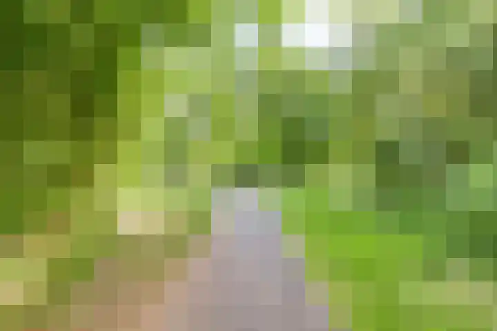 Koninginnelaan 2 Middelburg thumbnail 38