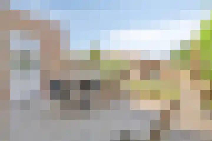 Koninginnelaan 2 Middelburg thumbnail 5