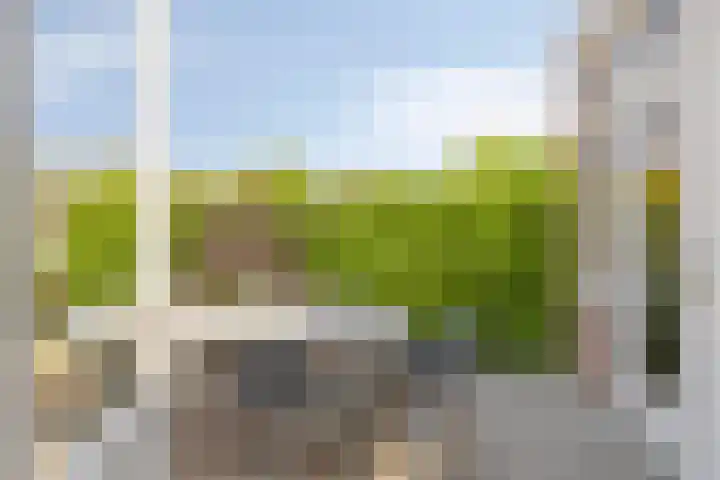 Koninginnelaan 2 Middelburg thumbnail 7
