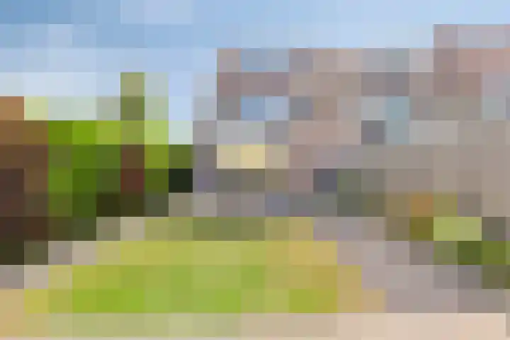 Koninginnelaan 2 Middelburg thumbnail 9