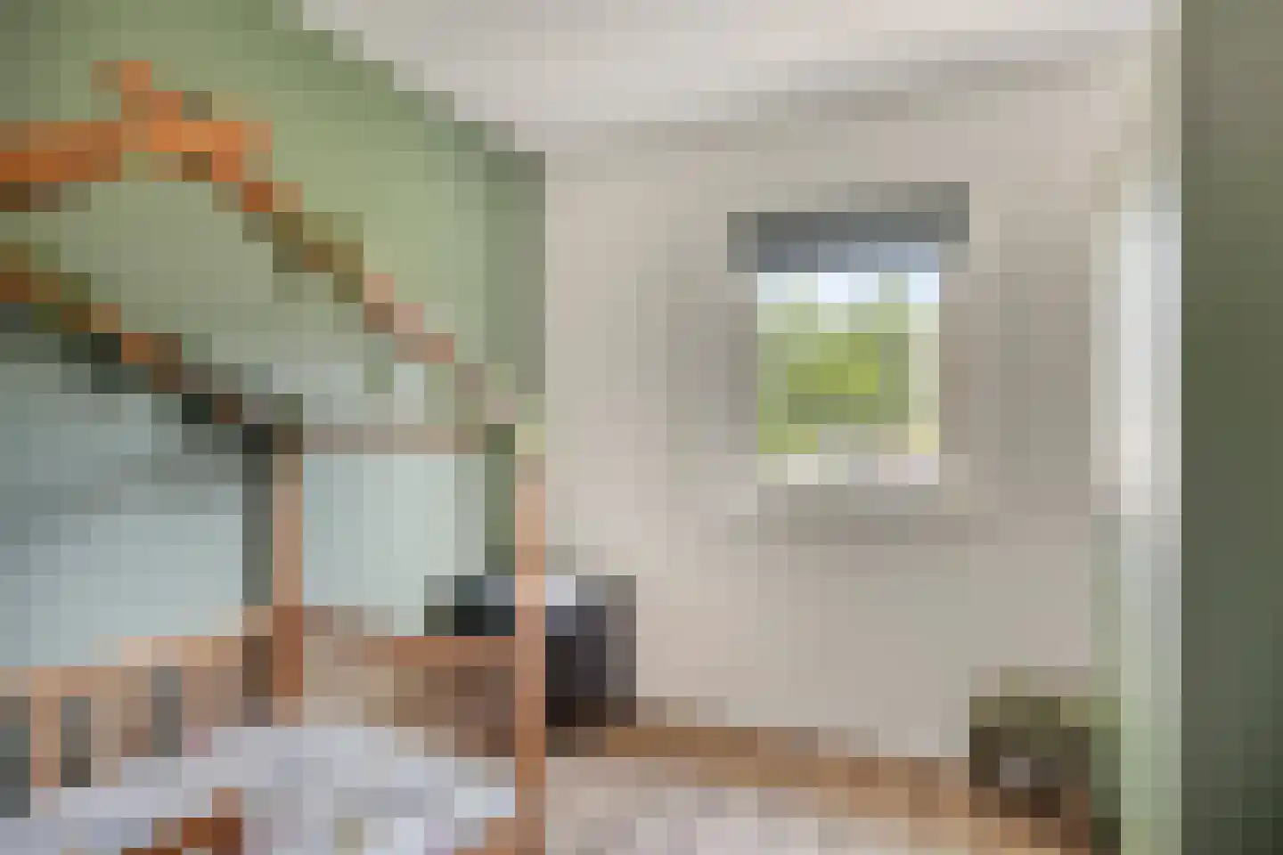 Koninginnelaan 20 Sint-Oedenrode thumbnail 31