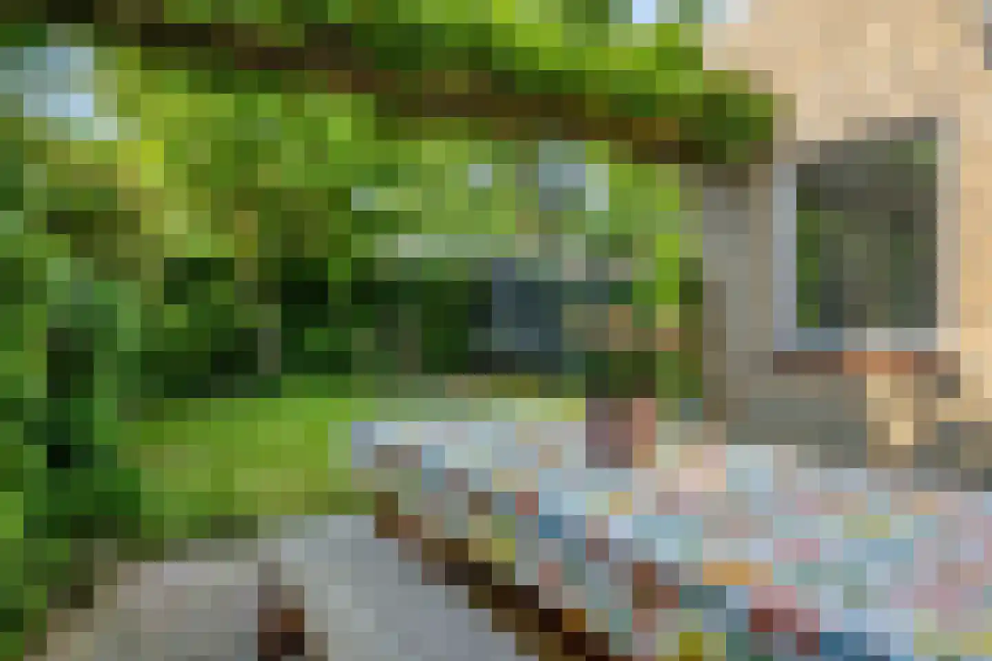 Koninginnelaan 20 Sint-Oedenrode thumbnail 41