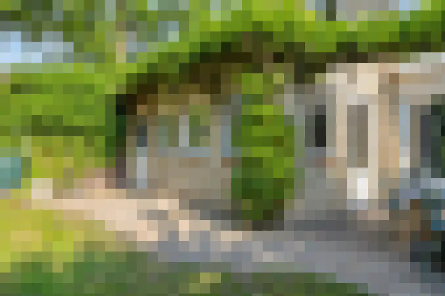 Koninginnelaan 20 Sint-Oedenrode thumbnail 43