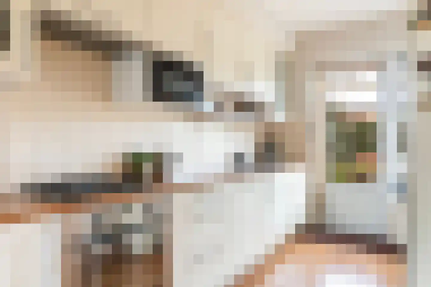 Koninginnelaan 209 Apeldoorn thumbnail 11