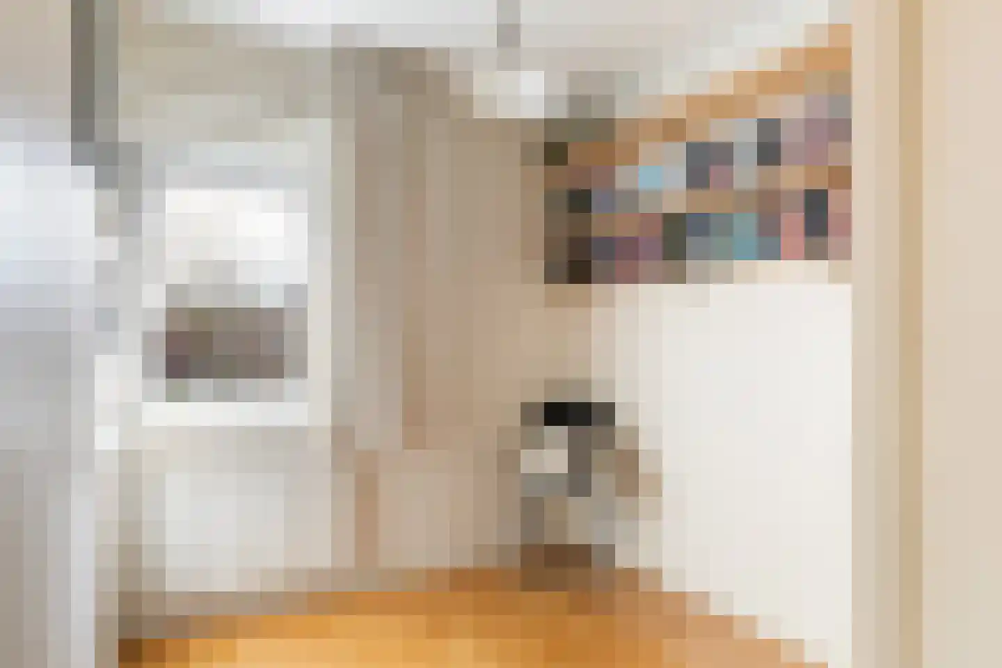 Koninginnelaan 209 Apeldoorn thumbnail 17