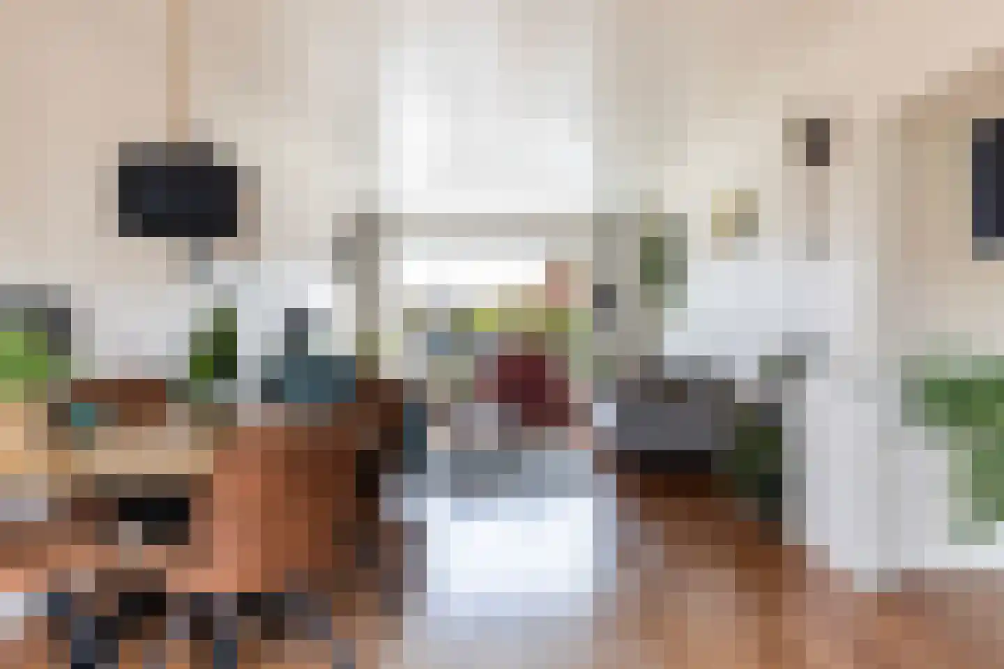 Koninginnelaan 209 Apeldoorn thumbnail 7