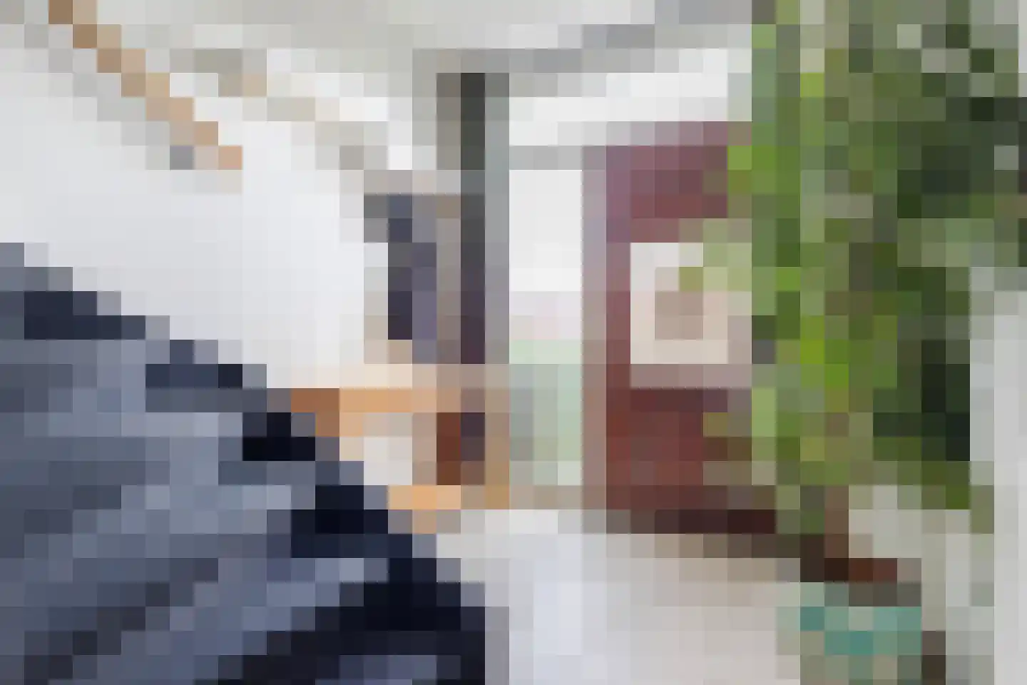 Koninginnelaan 215 Apeldoorn thumbnail 14