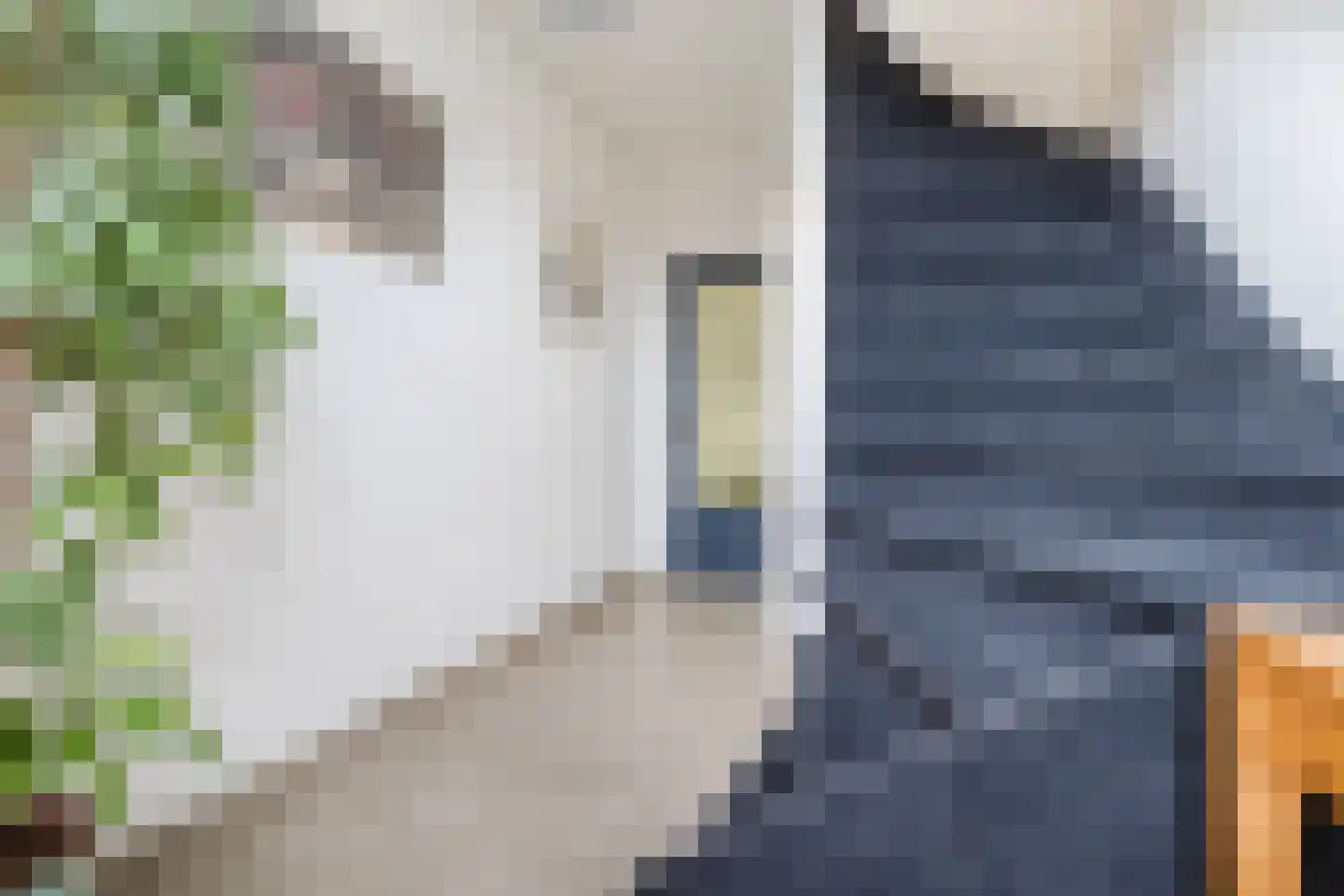 Koninginnelaan 215 Apeldoorn thumbnail 16