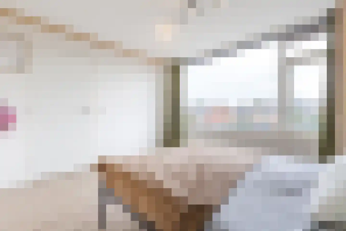 Koninginnelaan 215 Apeldoorn thumbnail 18