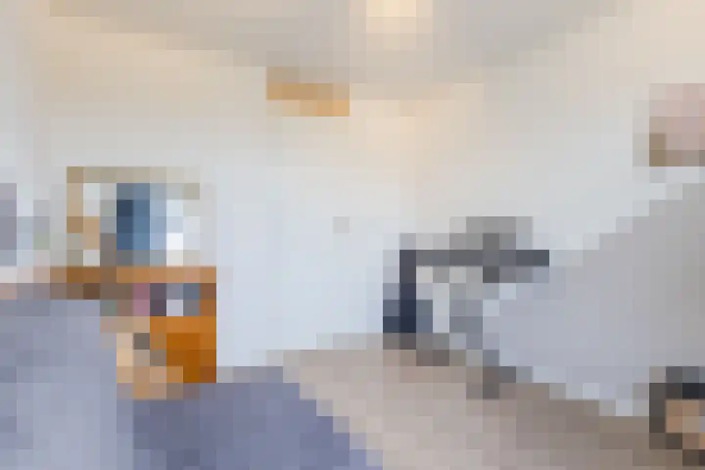 Koninginnelaan 215 Apeldoorn thumbnail 26