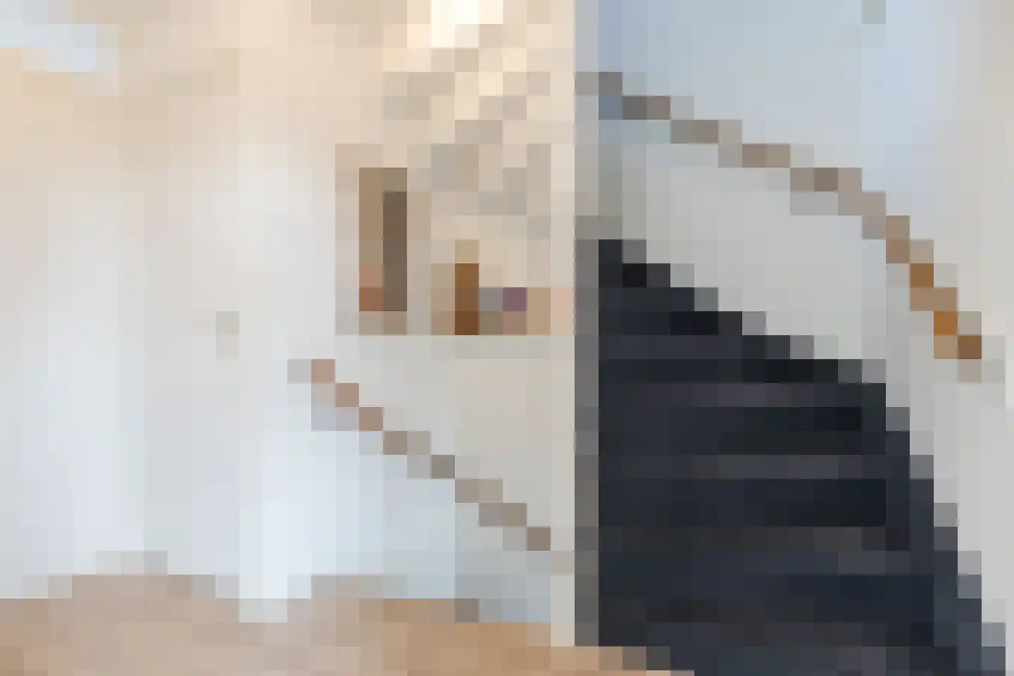 Koninginnelaan 215 Apeldoorn thumbnail 32