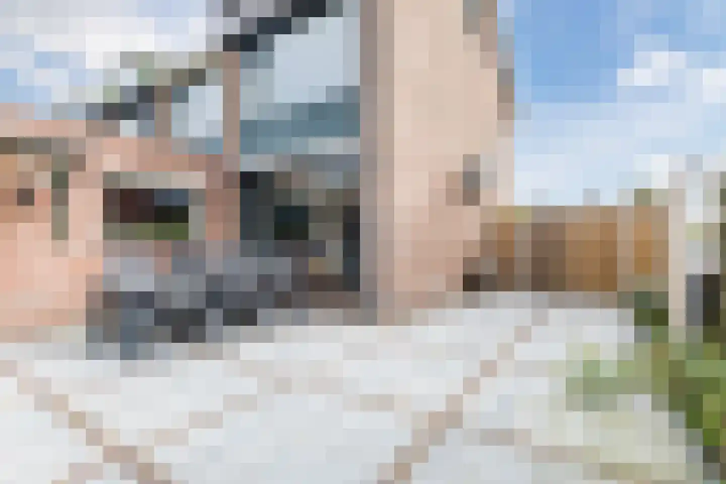 Koninginnelaan 215 Apeldoorn thumbnail 38