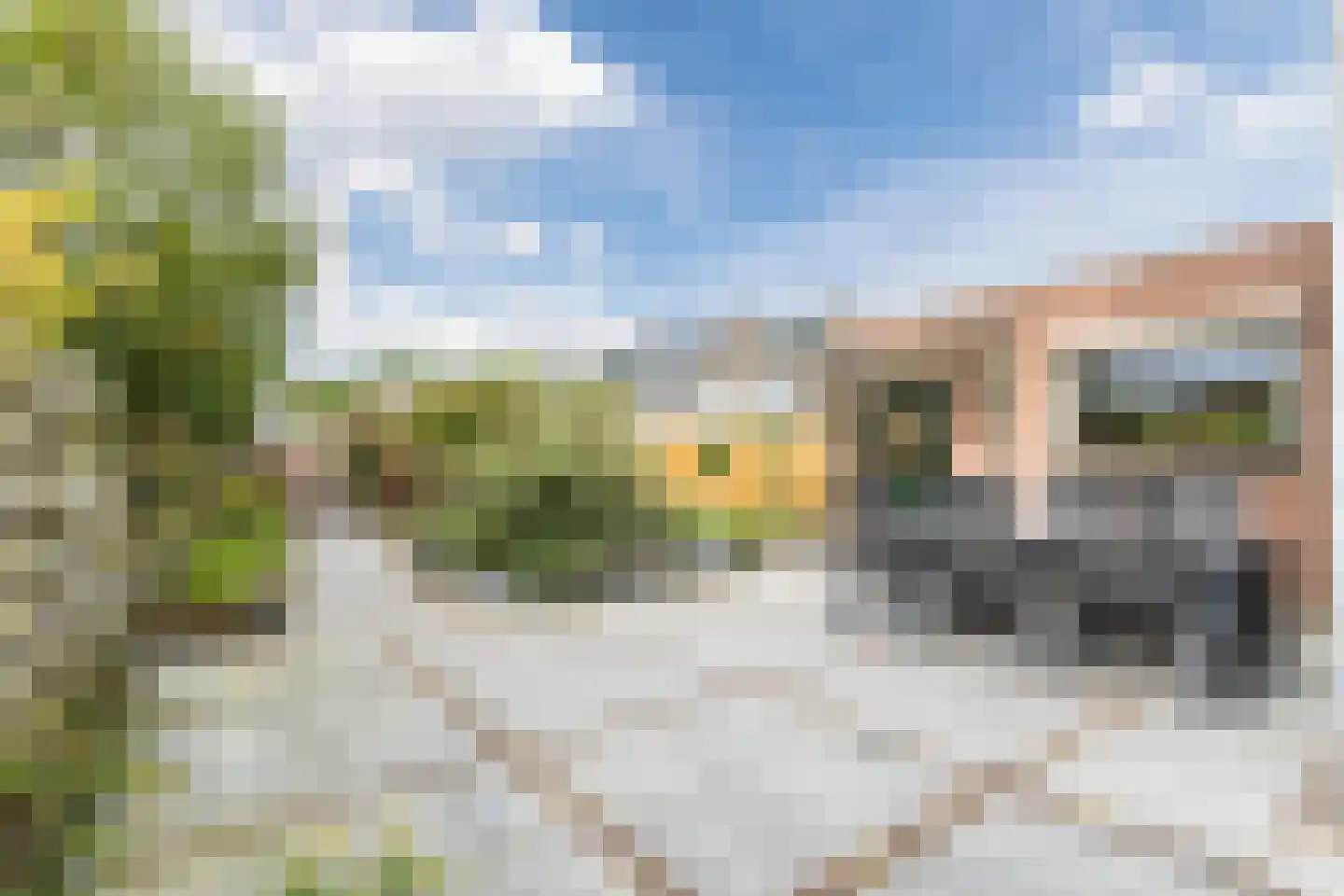 Koninginnelaan 215 Apeldoorn thumbnail 40
