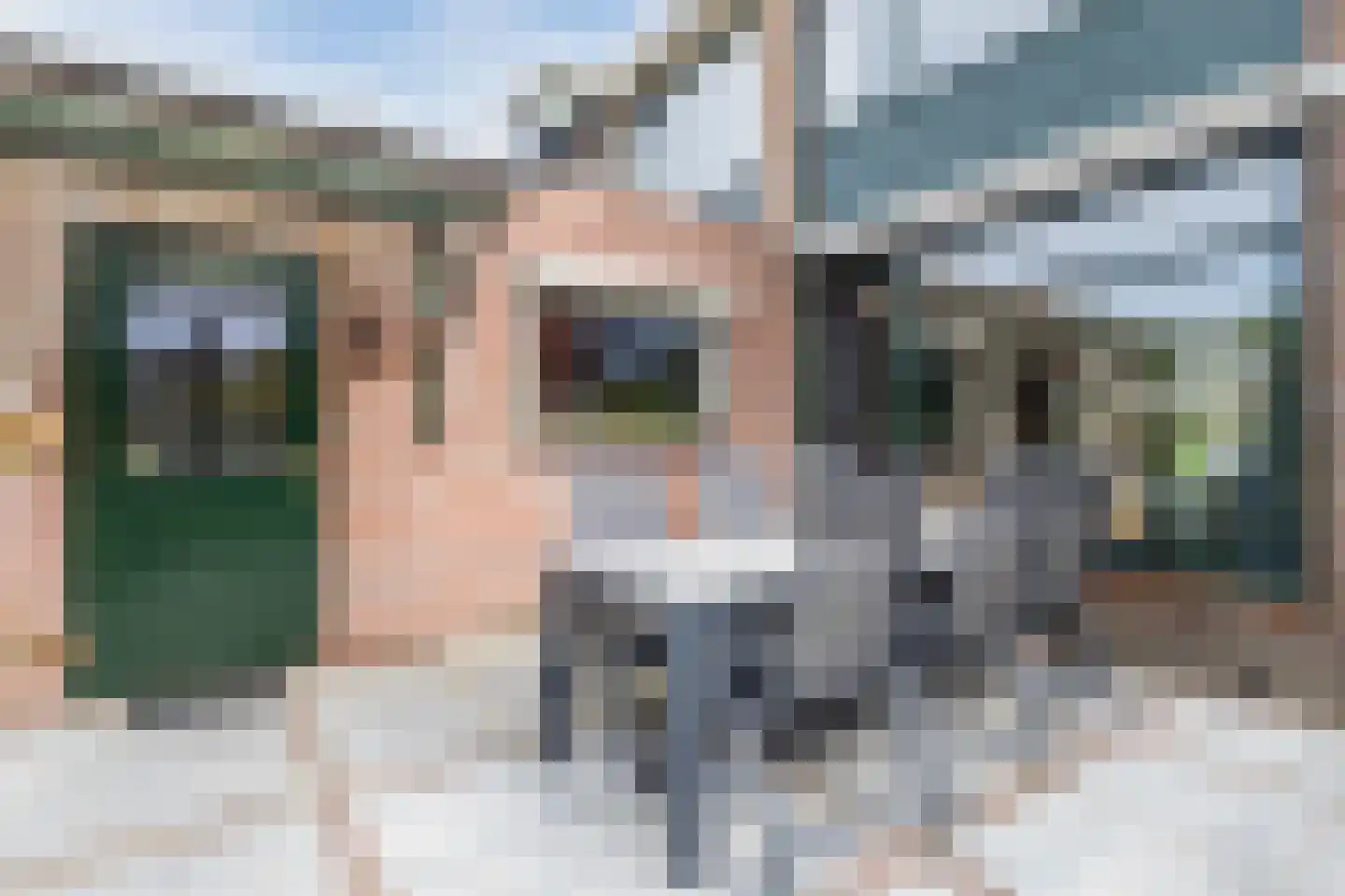 Koninginnelaan 215 Apeldoorn thumbnail 41