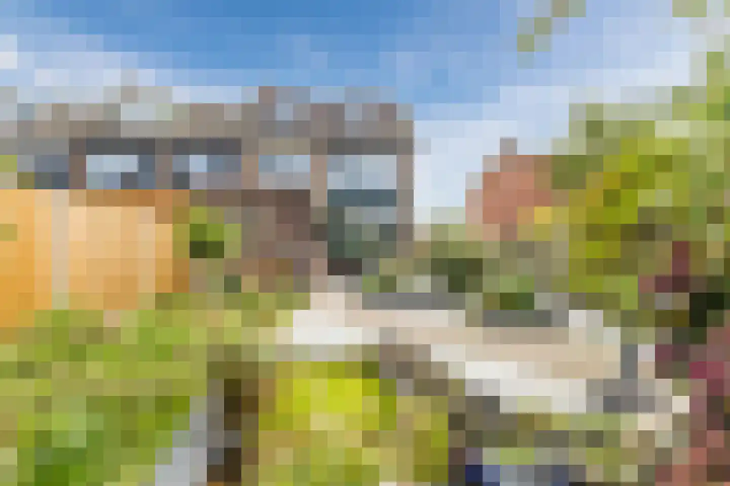 Koninginnelaan 215 Apeldoorn thumbnail 48