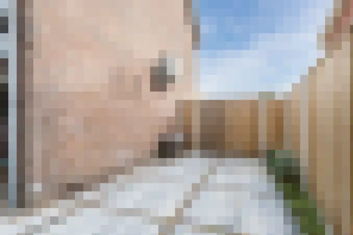 Koninginnelaan 215 Apeldoorn thumbnail 52