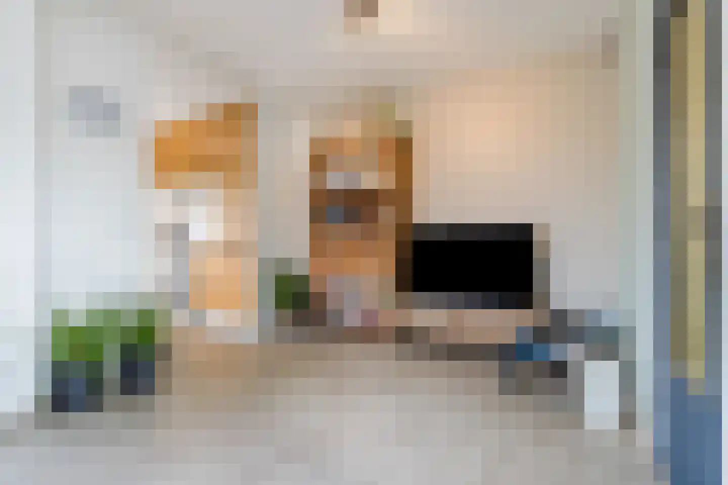 Koninginnelaan 215 Apeldoorn thumbnail 9