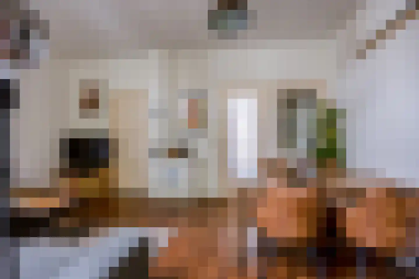 Koninginnelaan 215 Nijmegen thumbnail 11