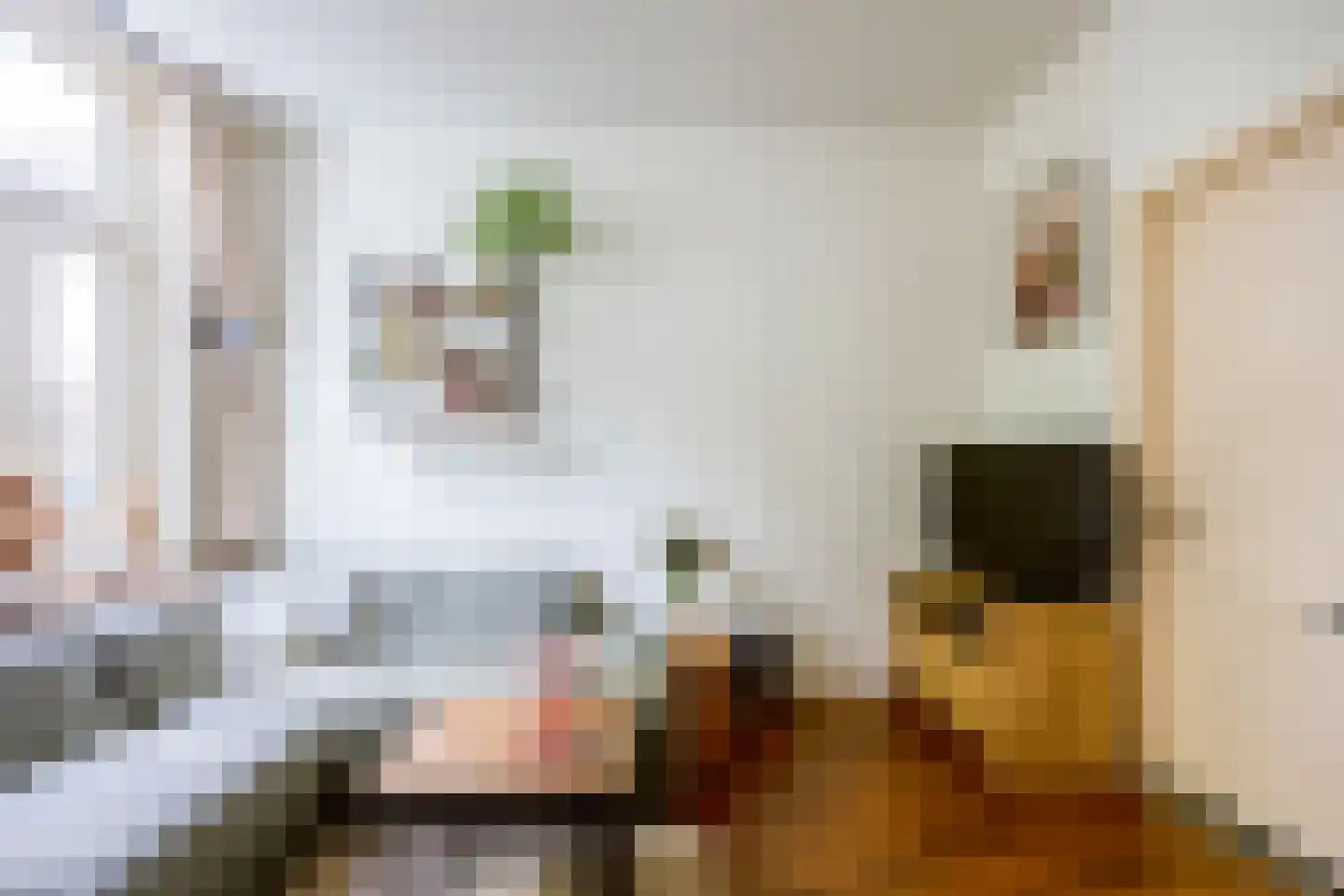 Koninginnelaan 215 Nijmegen thumbnail 7