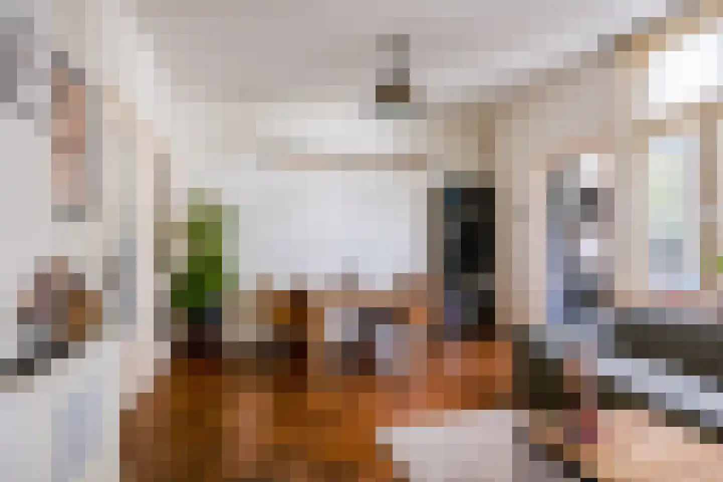 Koninginnelaan 215 Nijmegen thumbnail 8
