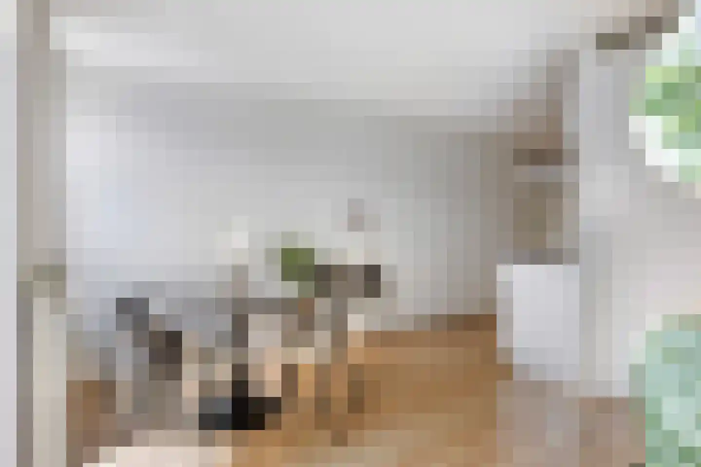 Koninginnelaan 22 01 Soest thumbnail 8