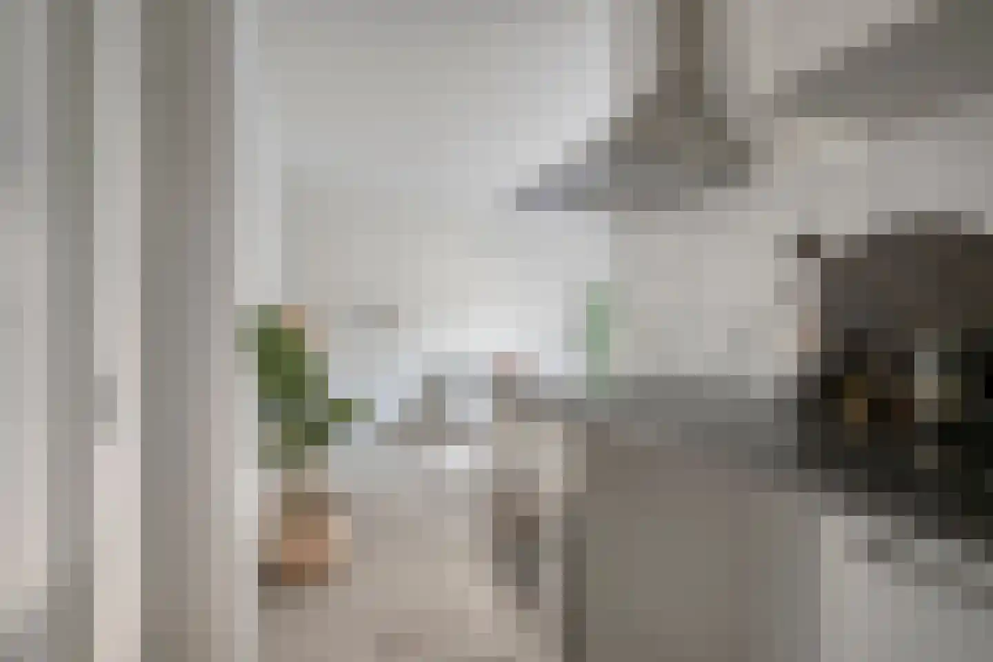 Koninginnelaan 22 02 Soest thumbnail 8