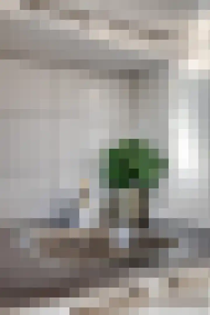 Koninginnelaan 22 13 Soest thumbnail 10