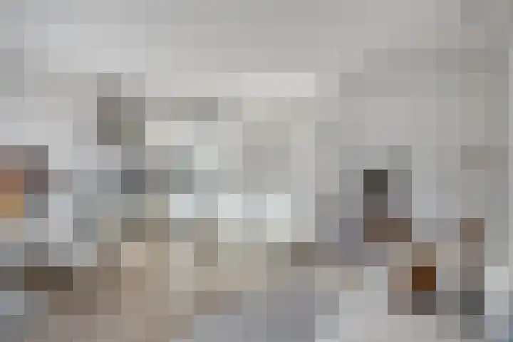 Koninginnelaan 22 13 Soest thumbnail 7