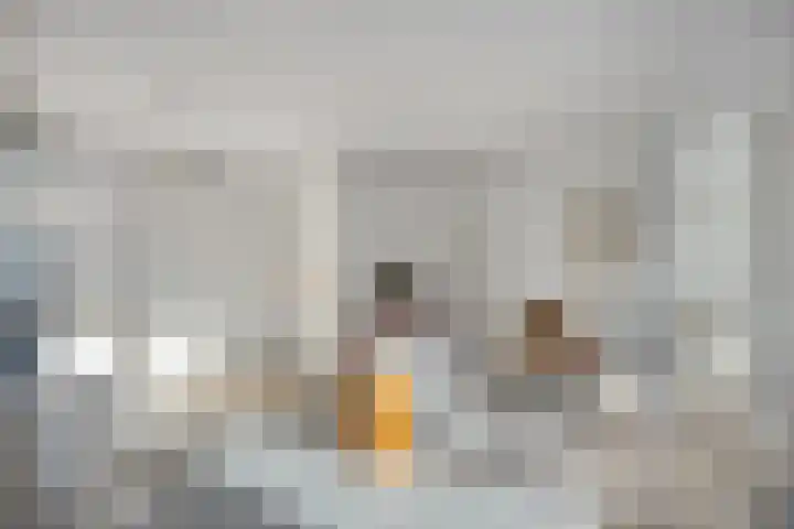 Koninginnelaan 22 13 Soest thumbnail 8