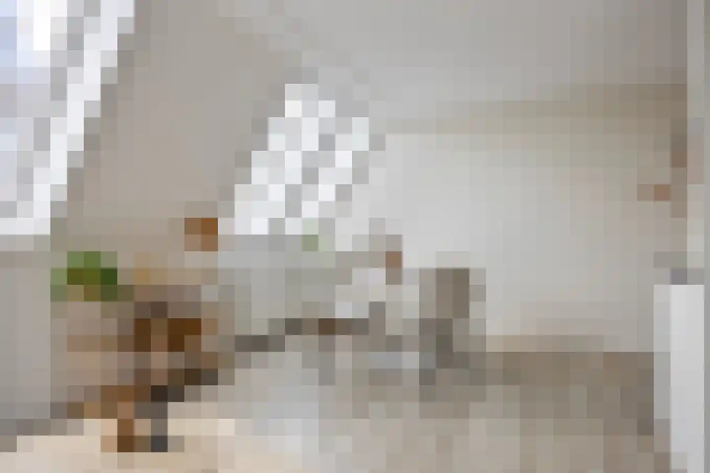 Koninginnelaan 22 15 Soest thumbnail 5