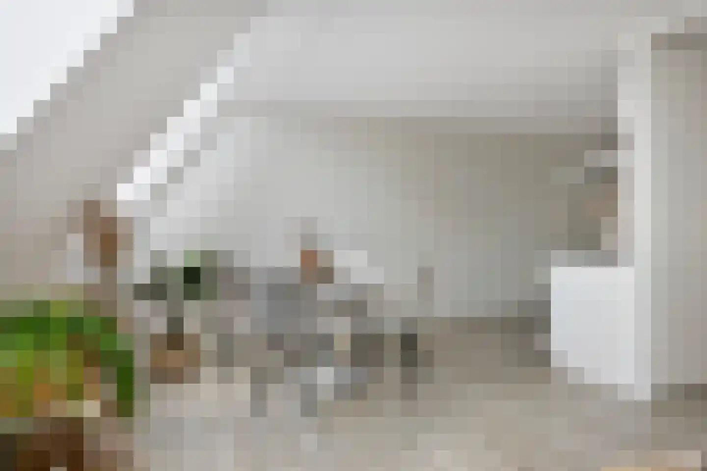 Koninginnelaan 22 15 Soest thumbnail 8