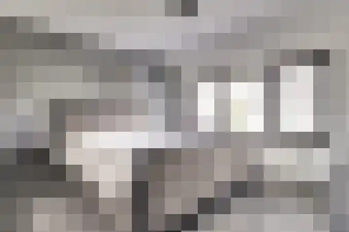 Koninginnelaan 22 Middelburg thumbnail 18