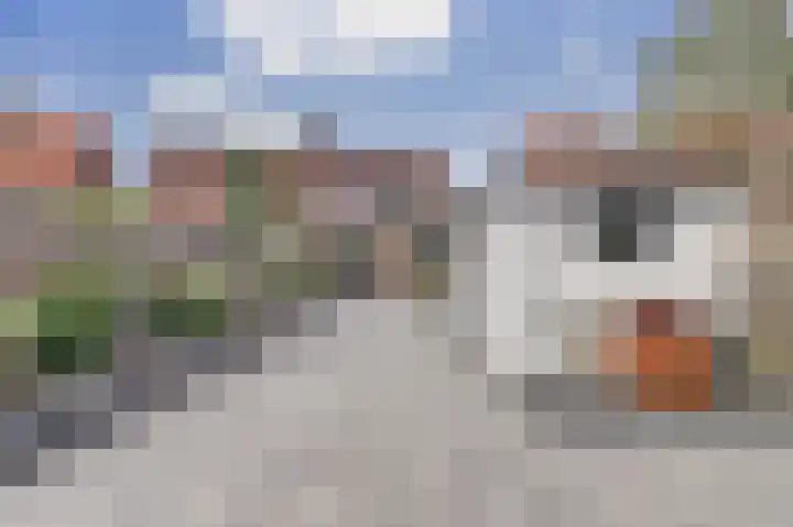 Koninginnelaan 22 Middelburg thumbnail 34