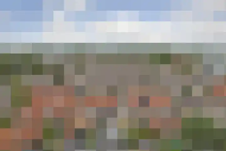 Koninginnelaan 22 Middelburg thumbnail 37