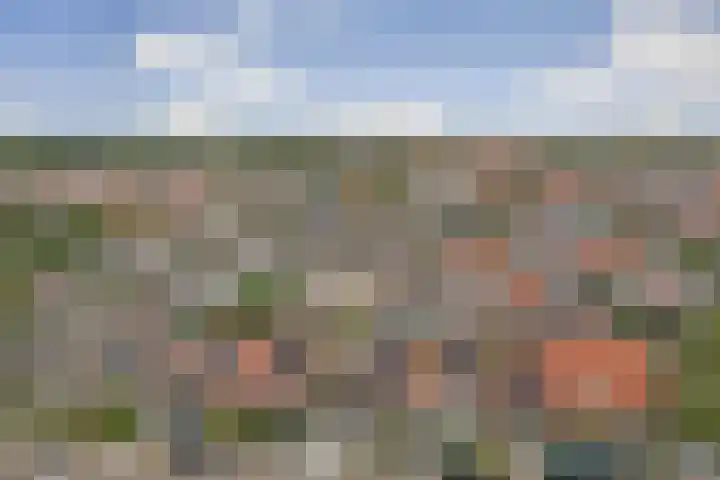 Koninginnelaan 22 Middelburg thumbnail 39