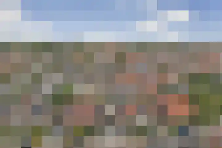 Koninginnelaan 22 Middelburg thumbnail 40