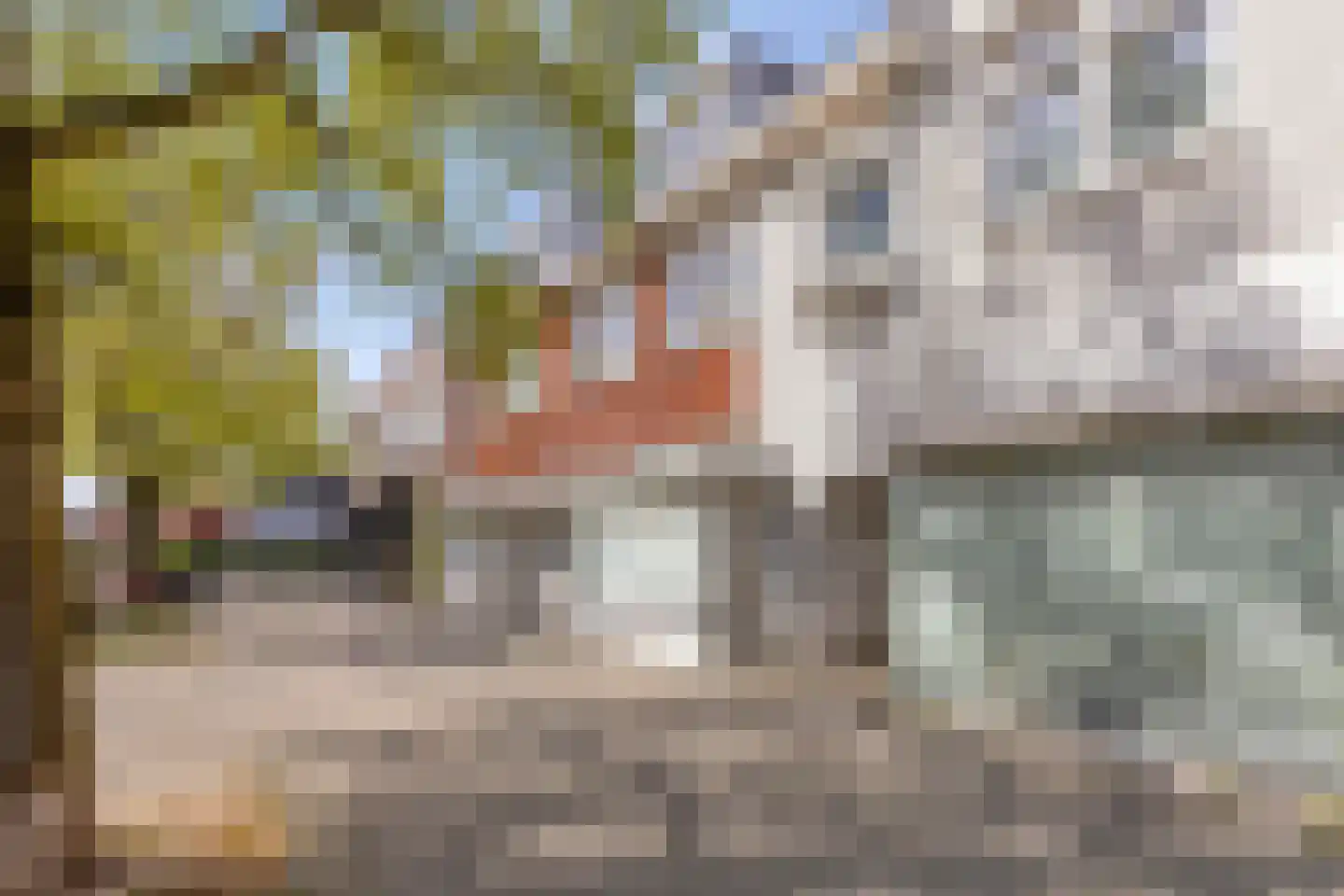 Koninginnelaan 24 05 Soest thumbnail 34