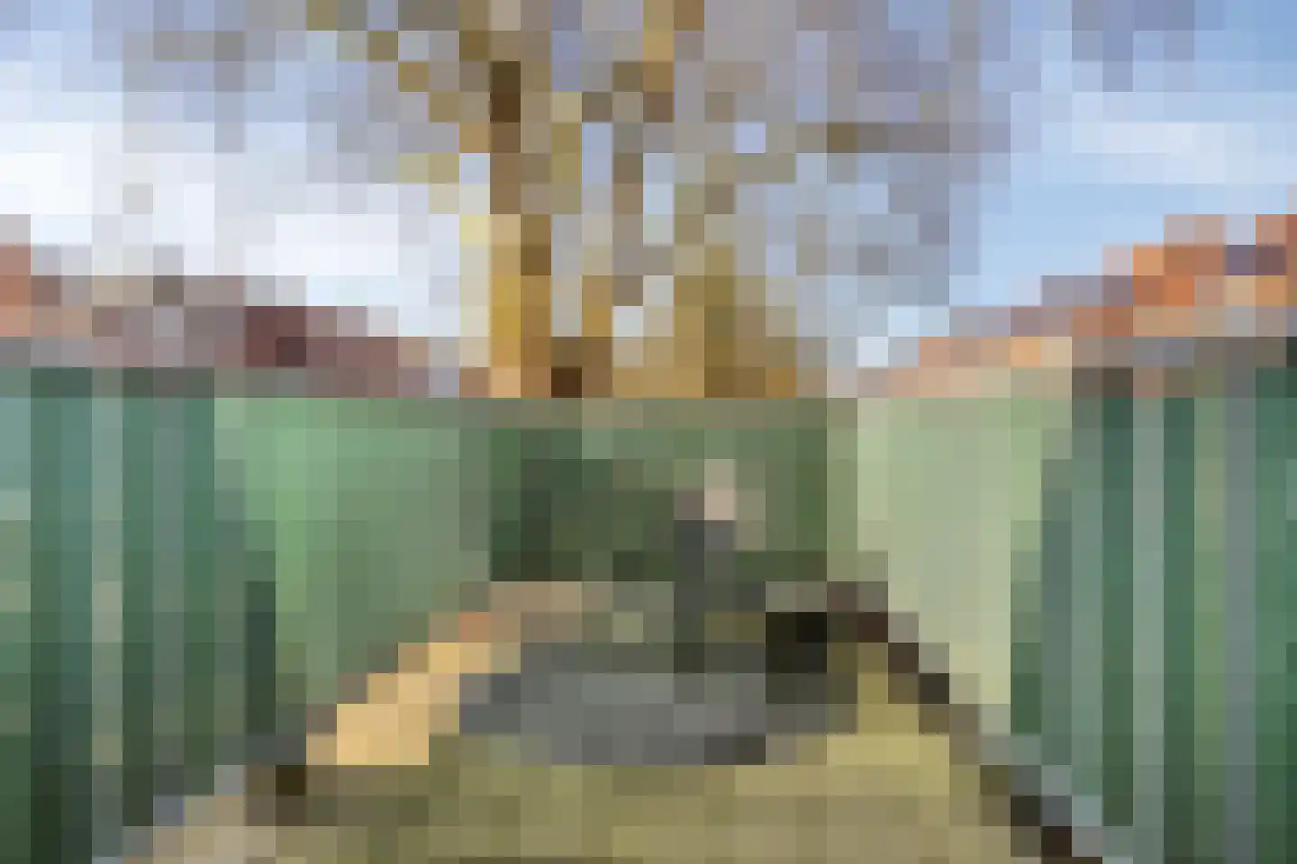 Koninginnelaan 24 a Groningen thumbnail 24