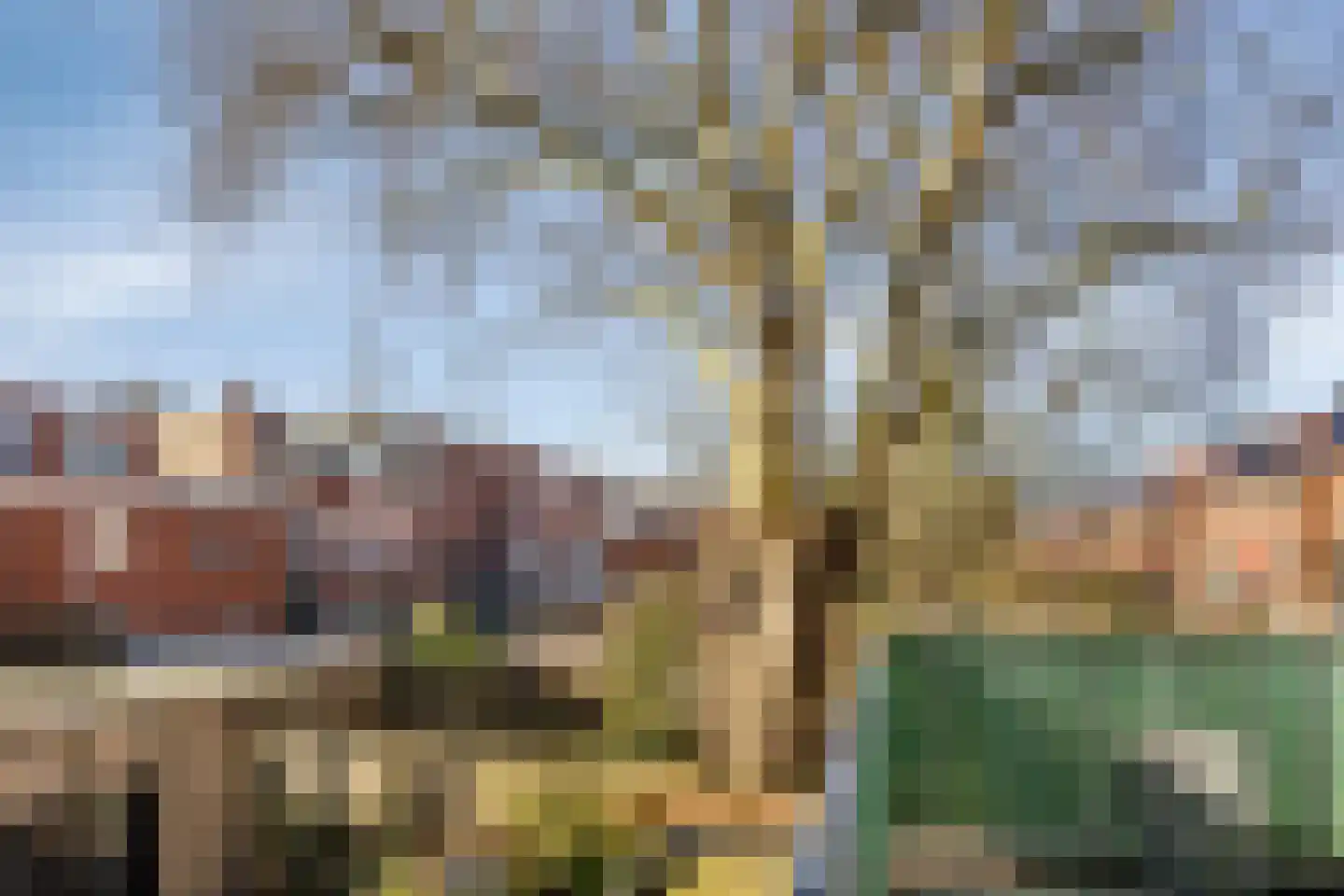 Koninginnelaan 24 a Groningen thumbnail 25