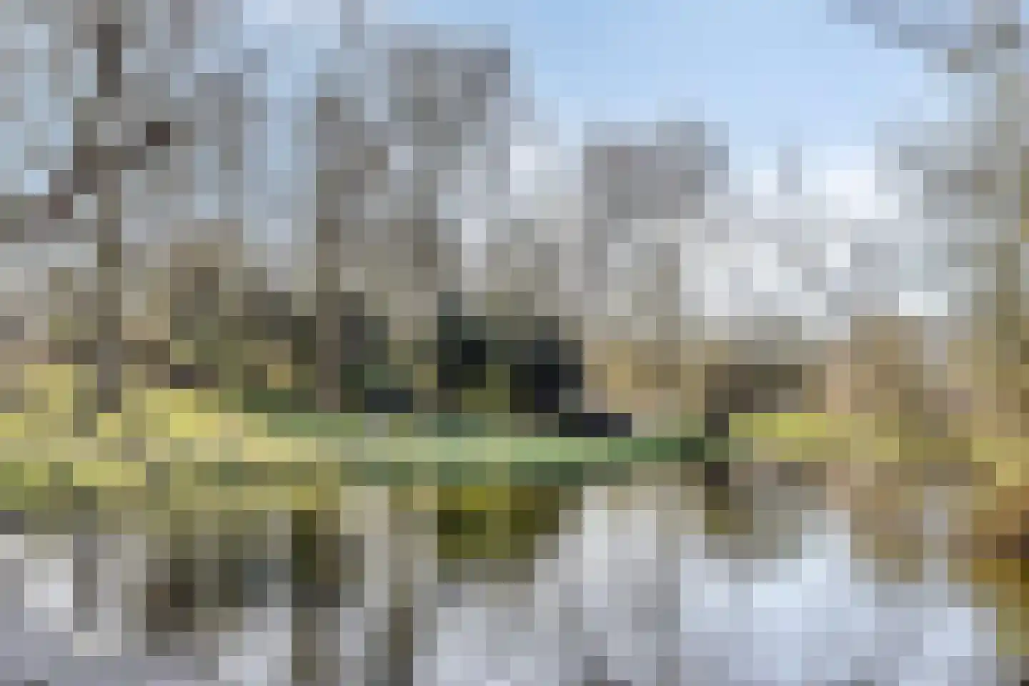 Koninginnelaan 24 a Groningen thumbnail 33