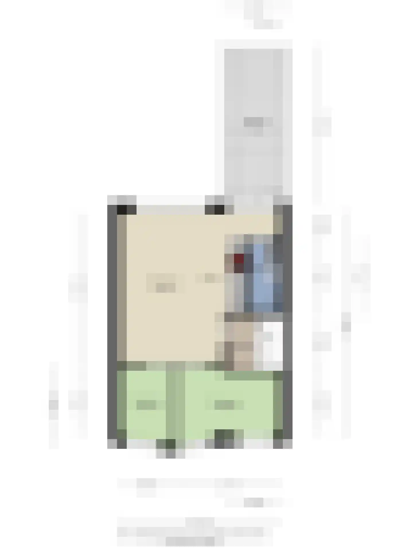 Koninginnelaan 24 a Groningen thumbnail 37