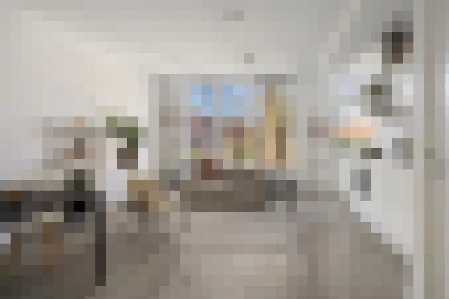 Koninginnelaan 24 a Groningen thumbnail 6